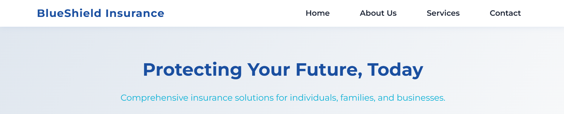 BlueShield Insurance Office